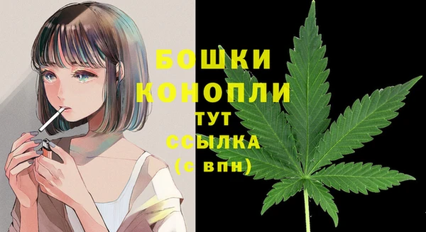 кокс Кострома
