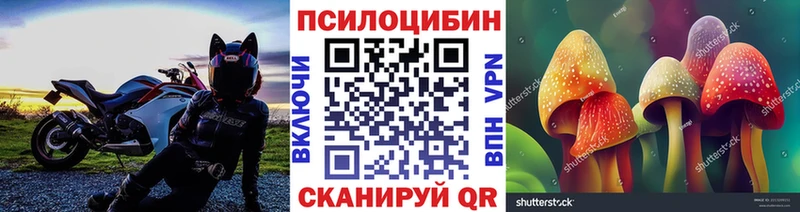 где найти наркотики  Сычёвка  Псилоцибиновые грибы мухоморы 
